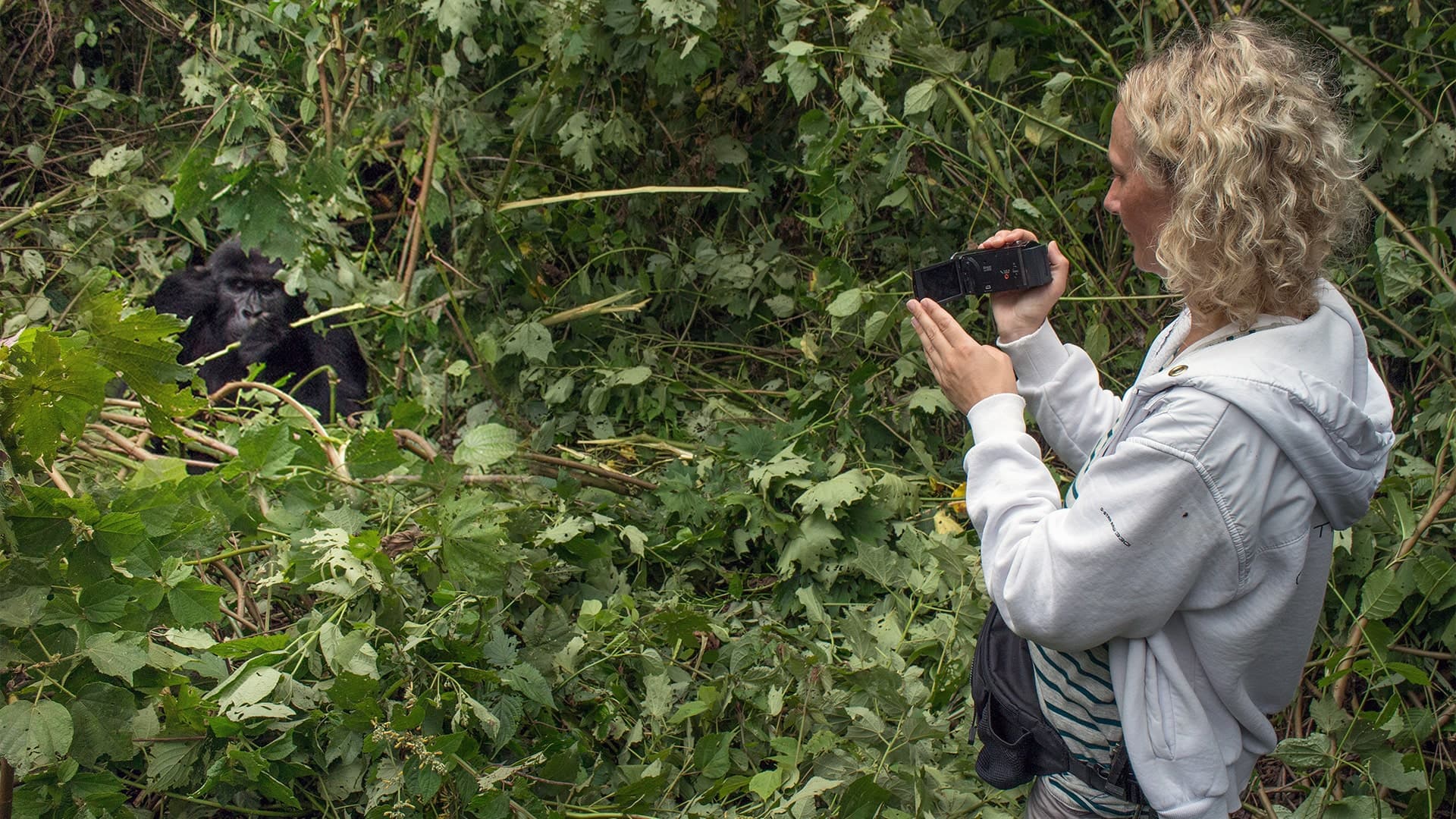 Highlights of Rwanda