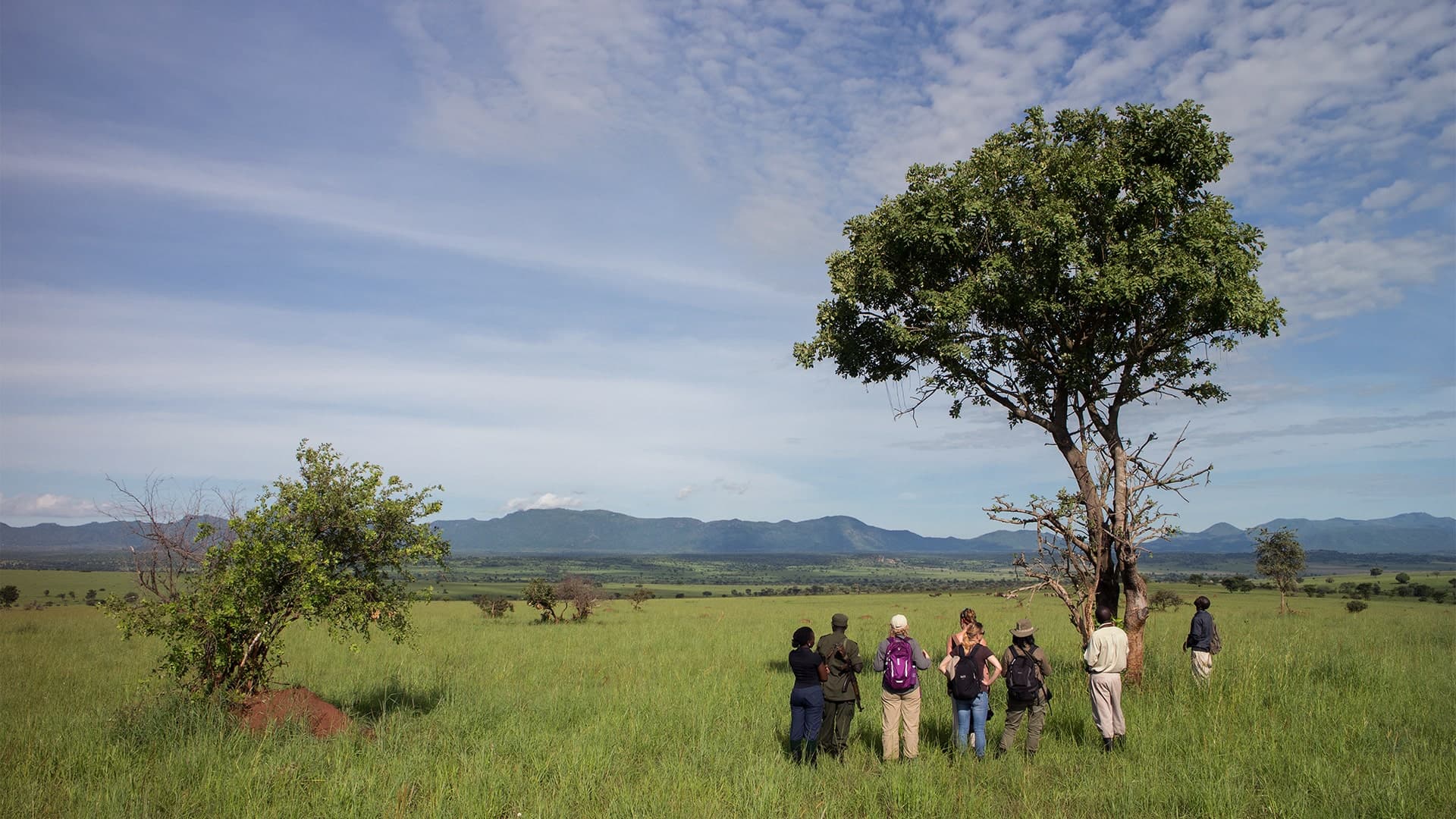 Group Tour Highlights of Uganda (14 days)