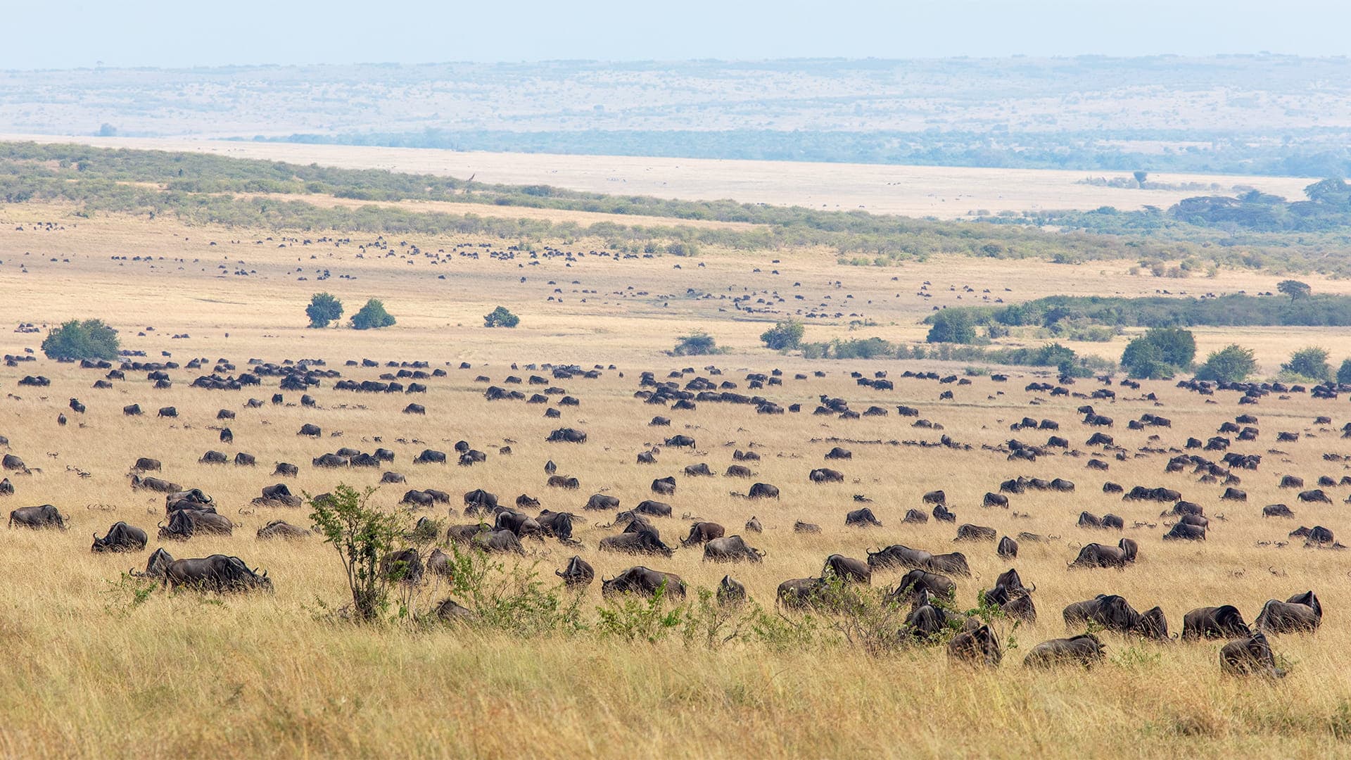 Highlights of Kenya