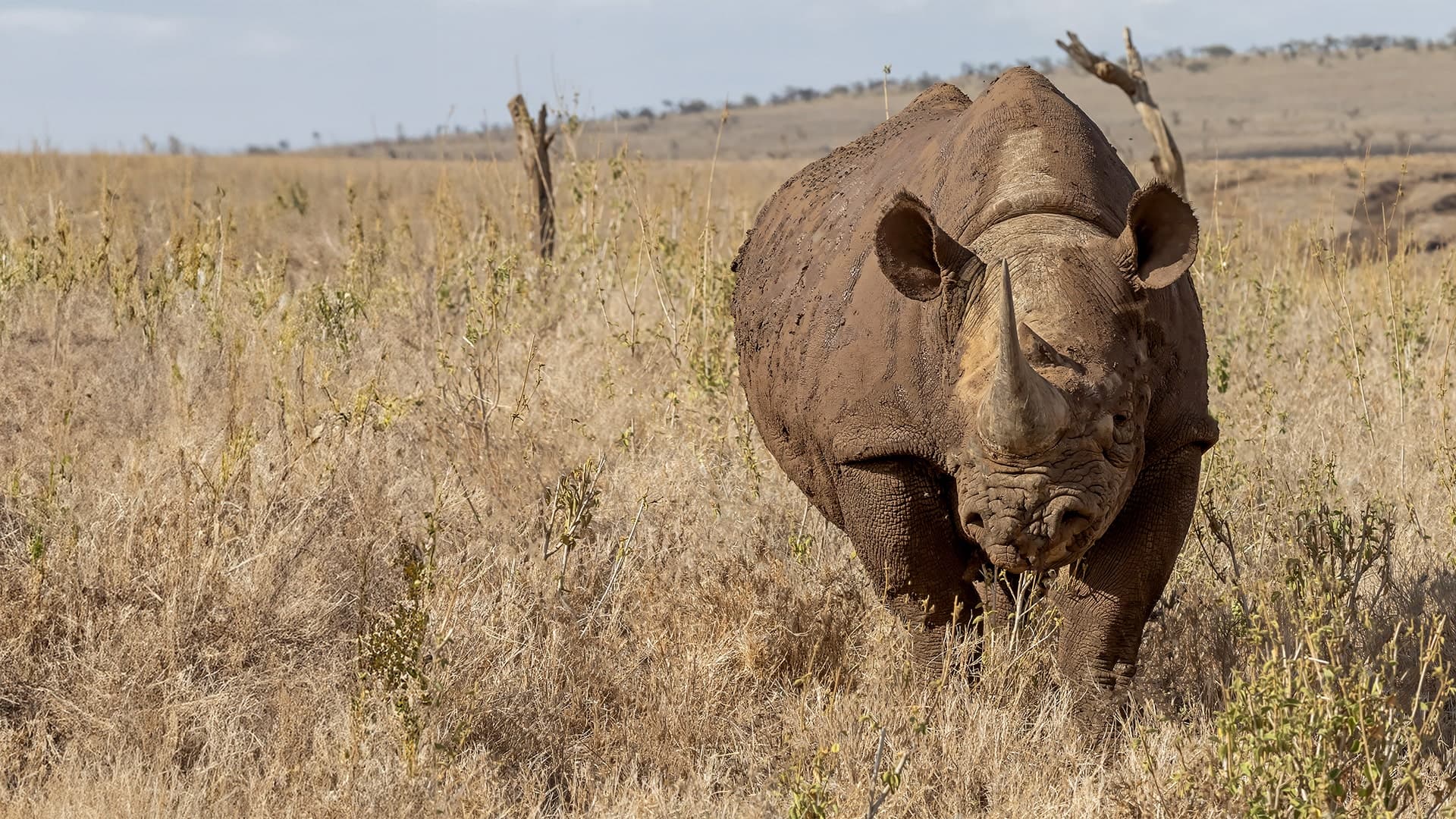 Northern Rift Valley Kenya Trip-9-days