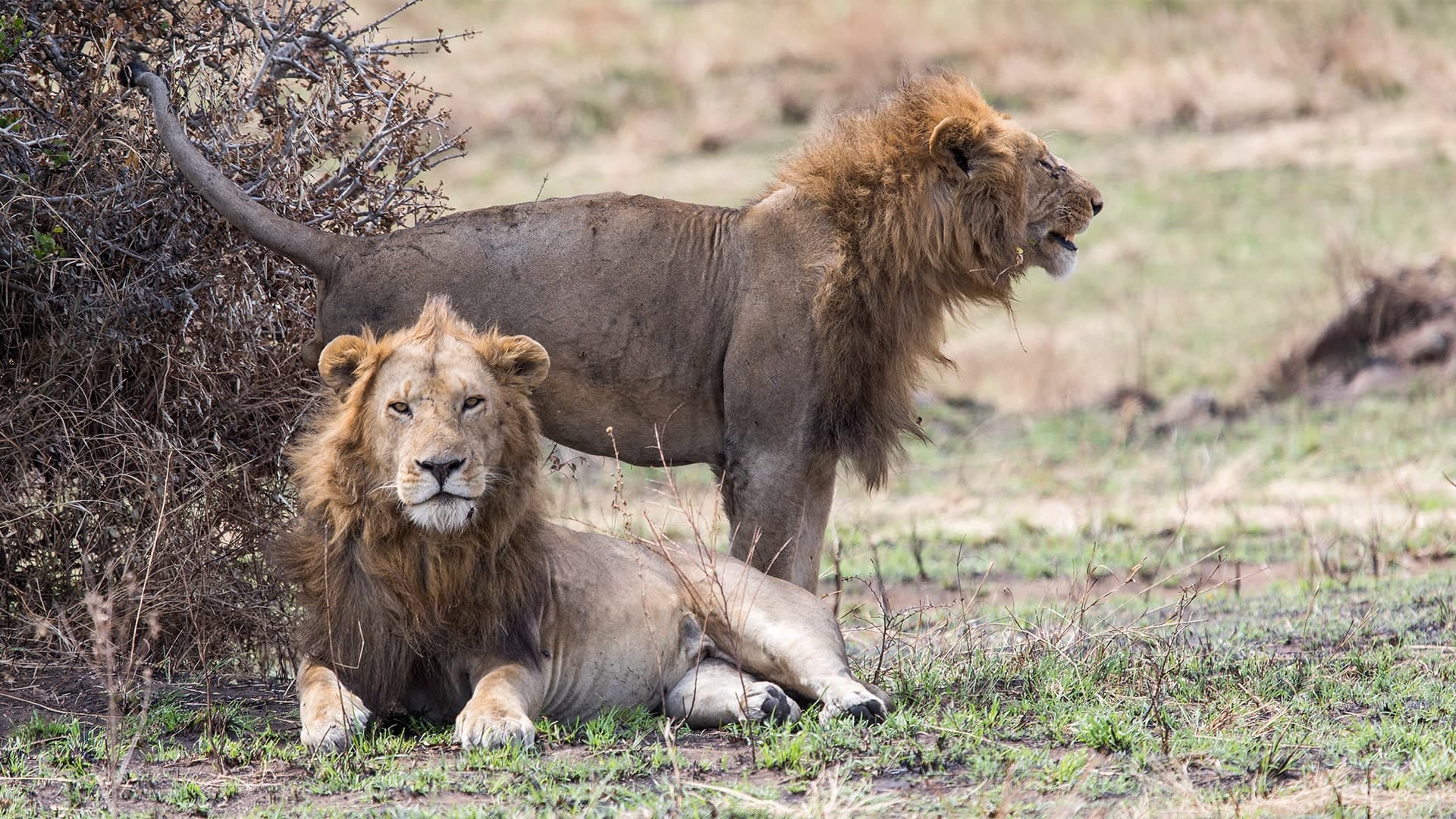 Highlights of Southern Kenya (9 days)